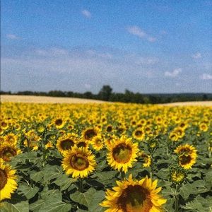 Meet your Posher, Sabrina